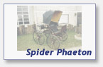 Spider Phaeton